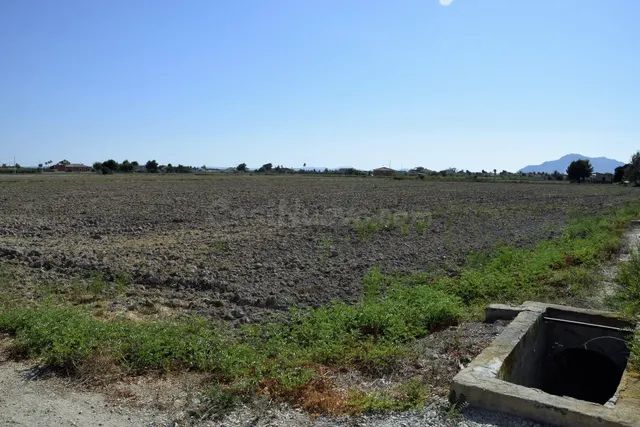 Parcela de 80 tahullas con casa de aperos y piscina en Catra