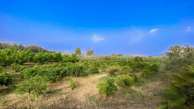 FINCA DE USO AGRARIO CON CASA EN COÍN. MÁLAGA - foto 3
