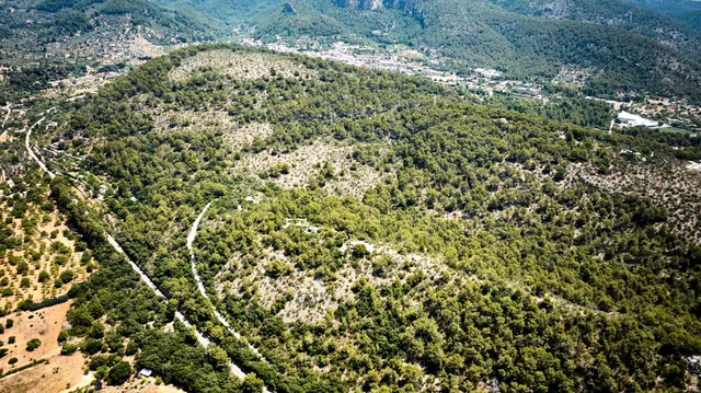 Finca única en plena naturaleza — 7