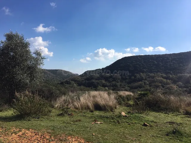 Parcela en venta - Costa del Sol - foto 3