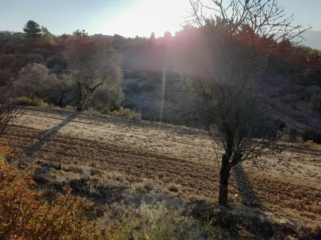 OCASION GRAN  FINCA EN PRODUCCION DE 8,4 HAS. EN CORBERA D´EBRE — 19