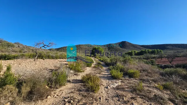 GRAN TERRENO JUNTO A LOS ALTOS DE LAS PALAS – REF. 2112 — 10