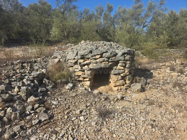FINCA RÚSTICA MUY CUIDADA CON OLIVOS Y ALGARROBOS EN MAS DE 