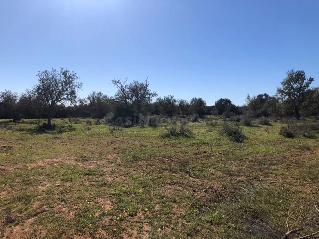 Terreno rural en venta - Porreres - foto 4