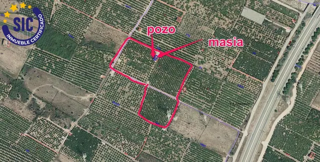 FINCAS RÚSTICA 24 HANEGADAS DE CLEMENTINA EN PRODUCCIÓN CON MASIA Y POZO MUY CERCA DE LA CIUDAD — 7