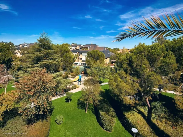 ÁTICO DÚPLEX CON TRES TERRAZAS Y PRIVACIDAD DE CHALET EN EL  - foto 5