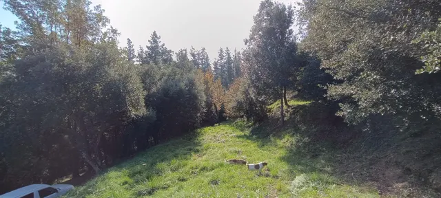 Parque natural del montseny (afueras riells): masía típica catalana catalogada a reformar — 33