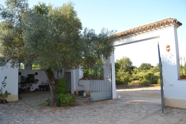 FINCA DE RECREO CON 14 HECTAREAS EN ARCOS DE LA FRONTERA — 6