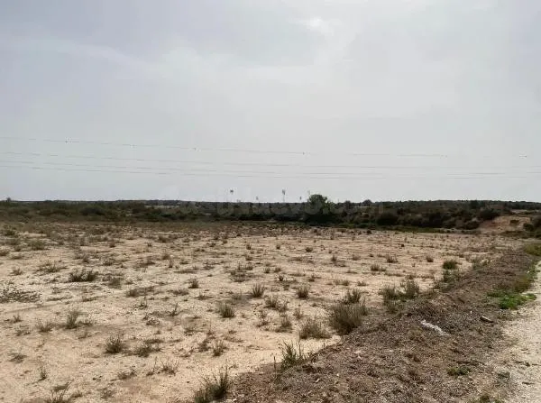 Venta de terreno- La Marian- Elche - foto 5