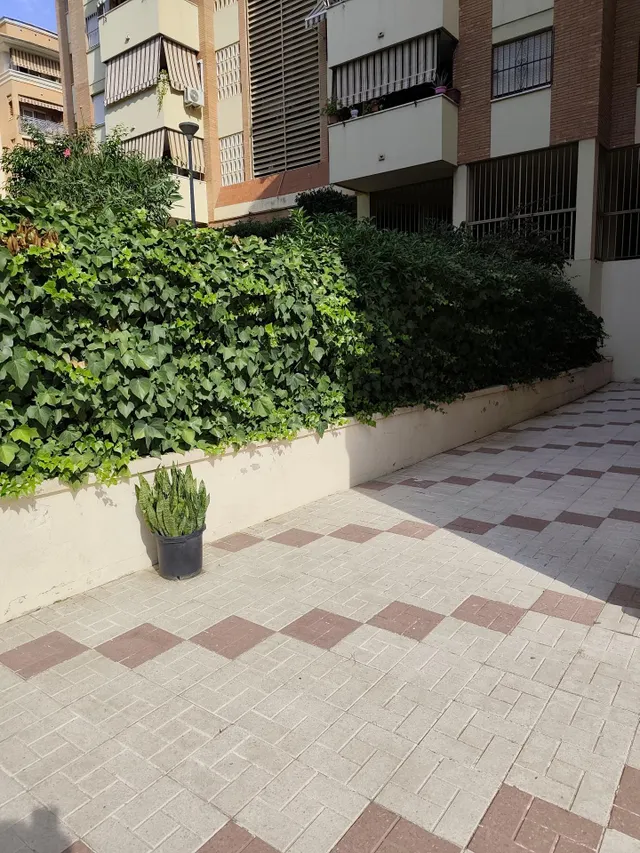 Piso en Venta en Ciudad Jardin — 26