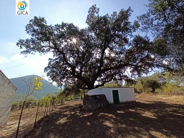 CASA CON PARCELA  EN LA SIERRA DE CADIZ -EL BOSQUE — 17