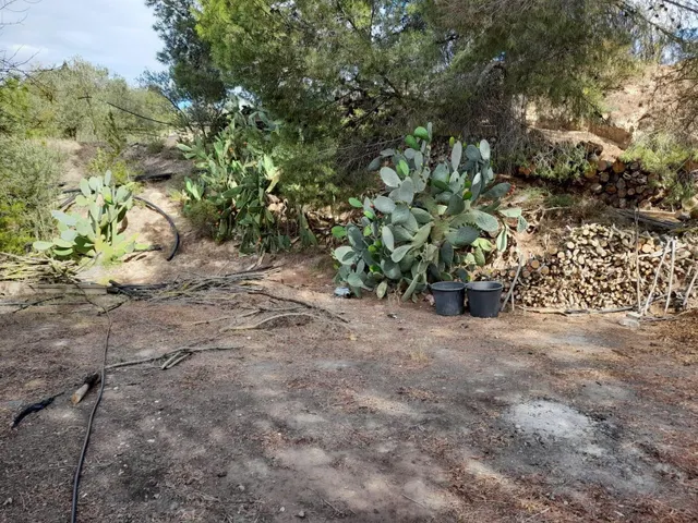 OPORTUNIDAD FINCA RUSTICA DE REGADIO CON CASA DE CAMPO EQUIPADA EN ASCO — 25