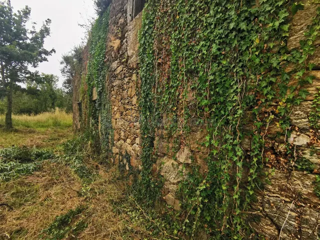 Casa para restaurar con 3000 metros de terreno - foto 2