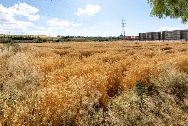 Parcela de 5000 metros junto al mercadona de Hijar — 10