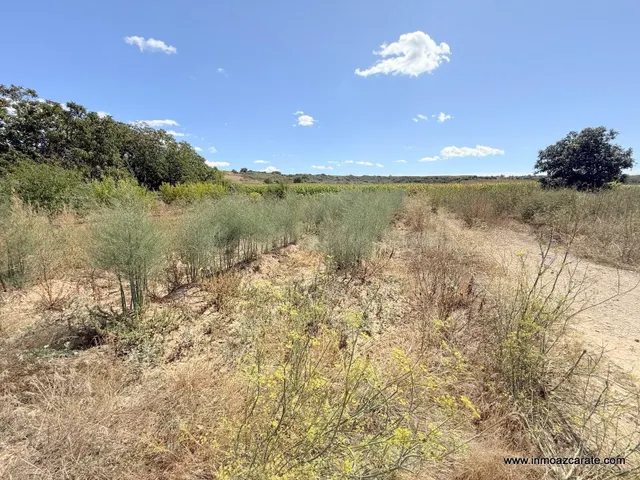 Finca de recreo en Larraga - foto 2