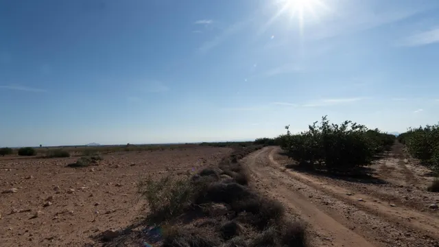 Se Vende Parcela de 30,000 m2 en Corvera — 3