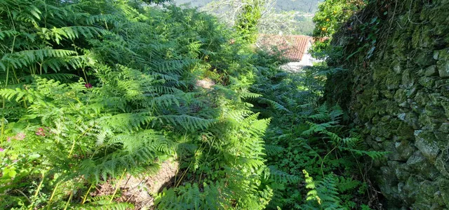 CASA DE PIEDRA CON TERRENO OPARA REFORMAR EN OUTES — 30