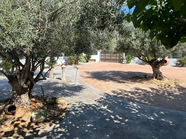 Lujosa villa mediterránea en Almoradí — 14