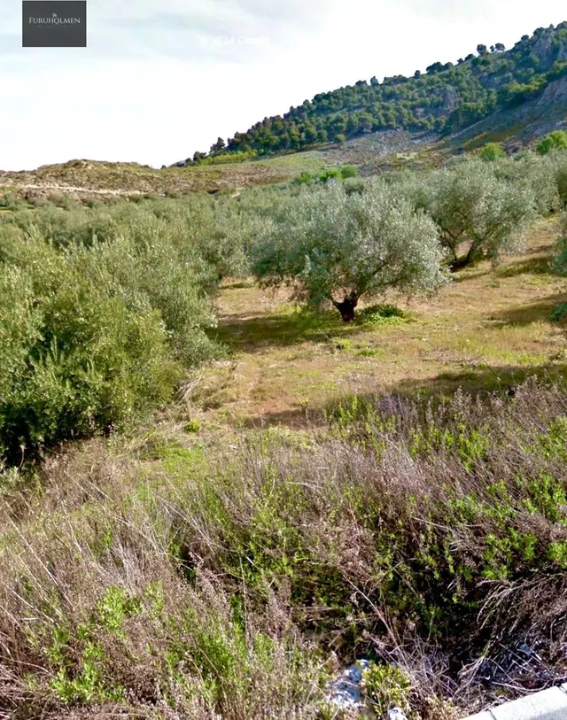 NIVAR - FINCA DE OLIVOS — 28