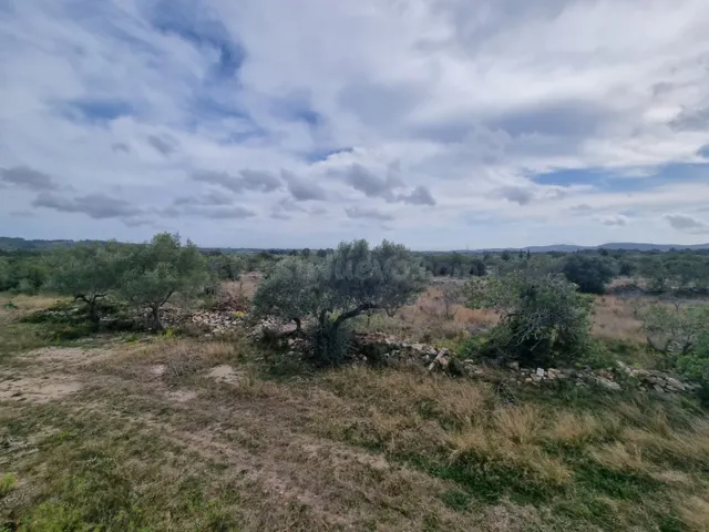 Finca Rústica con construcción de mas de 200m2 para reformar - foto 3