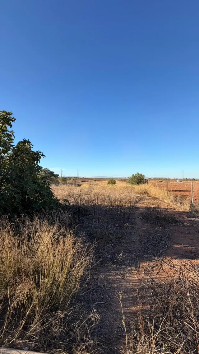 SE VENDE CASA DE CAMPO EN EL PALMERO — 12