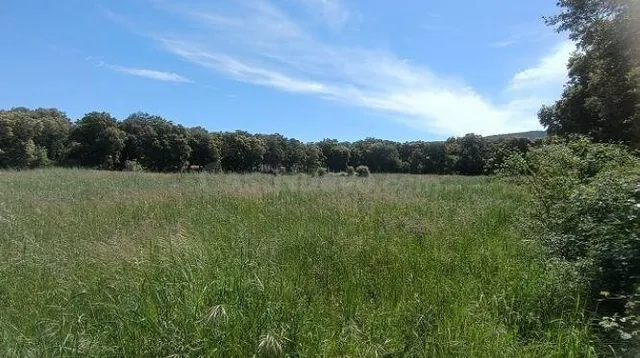 Terreno en venta en Iguzquiza (Navarra) - foto 3