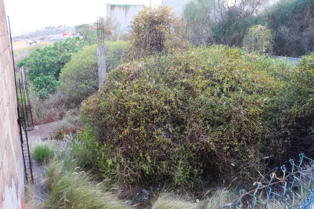 TERRENO URBANO EN EL SOBRADILLO, SANTA CRUZ DE TENERIFE — 14