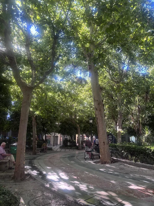 ¡Piso para Estudiantes en el Corazón de Granada! ✨ — 11
