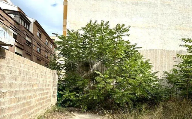 Terreno urbano 631m² en venta - Centro - foto 4