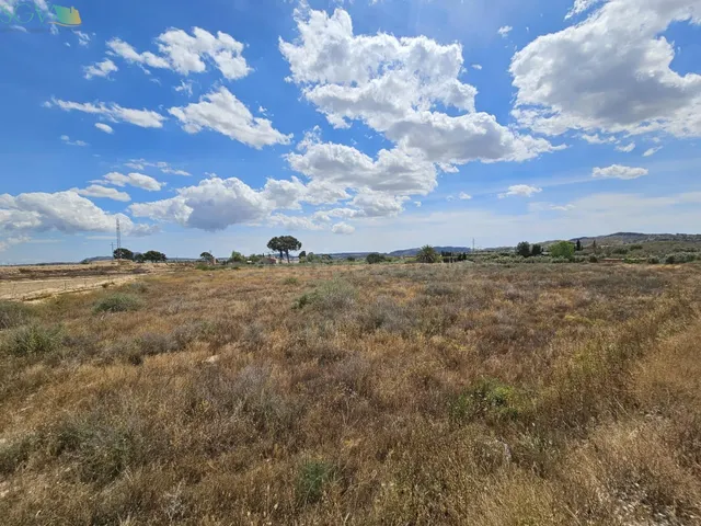 SE VENDE PARCELA EN EL ALJAU - ASPE (ALICANTE)