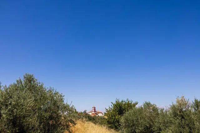 Preciosa parcela con vistas a la sierra — 13