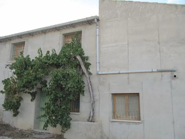 Finca rustica en Salinas con casa semireformada de 300 m2 y 