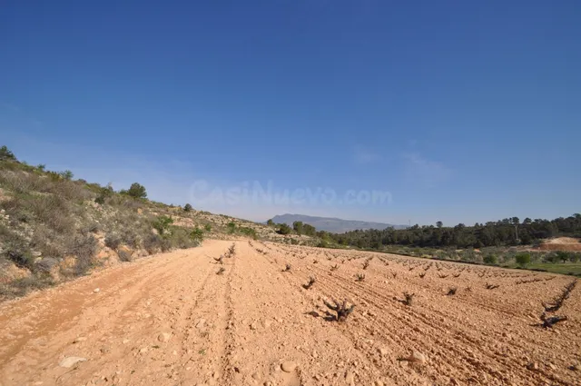 Parcela 400m² en venta - Jumilla - foto 5