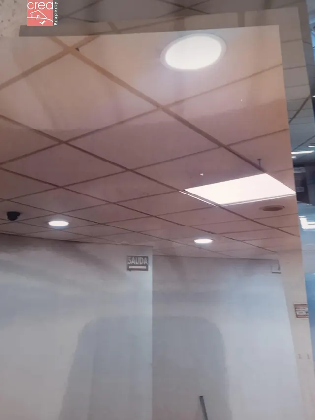 SE ALQUILA LOCAL COMERCIAL EN EL CENTRO DE SAN JAVIER — 15