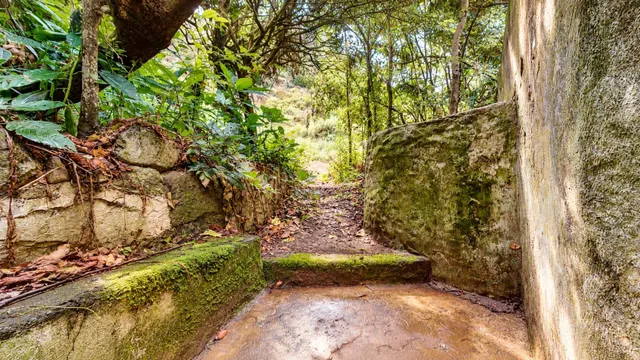 Finca con casa tradicional canaria y terreno de más de 12.000 m2 en Valsendero – Valleseco — 13
