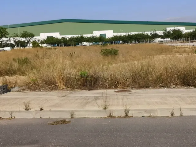 SUELO INDUSTRIAL EN DOLORES DE ALICANTE — 3