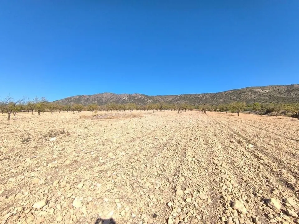 Parcela en venta - Comunidad valenciana