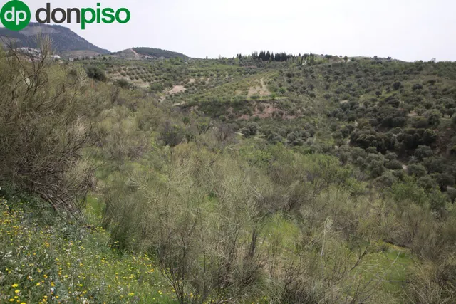 FINCA EN CORTIJO SAN JERÓNIMO (BARTODANO) — 40