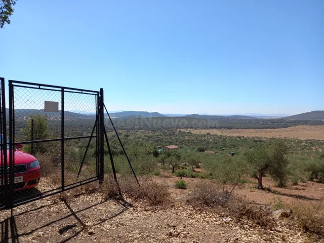 Finca de Olivos en la Montaña - foto 2