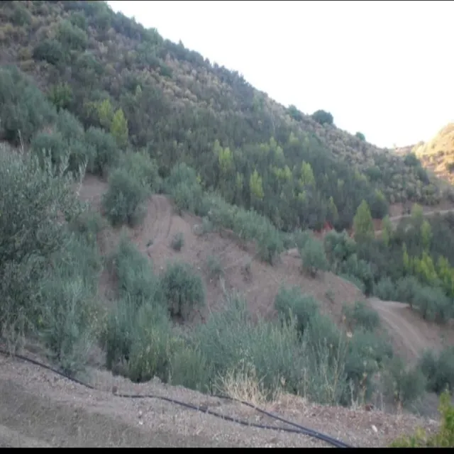 Parcela 40m² en venta - South of spain — 10