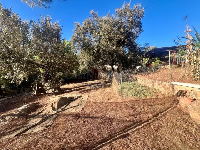E.  espectacular finca en Villaviciosa de Córdoba – en pleno corazón de sierra morena — 4