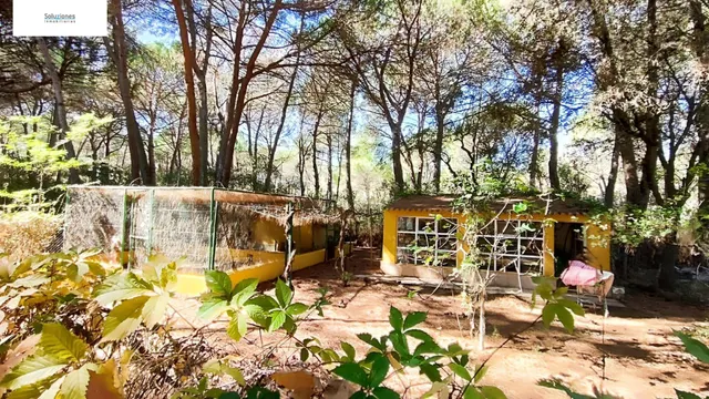 Chalet en los Pinares del Júcar — 18