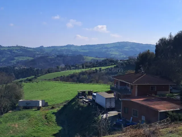 Magnifica casa con nave ,piscina y gran parcela. - foto 5
