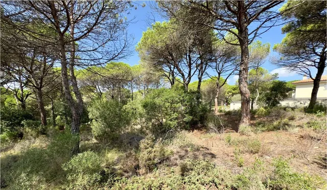 PRECIOSA PARCELA PARA CONSTRUIR LA CASA DE TUS SUEÑOS!!! - foto 3
