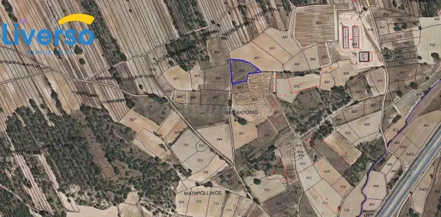 Oportunidad de Inversión: Terrenos de Regadío y Secano en Ar - foto 3