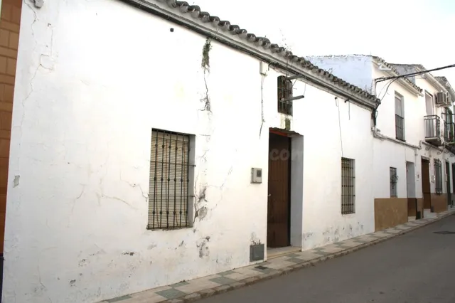 Gran parcela en Carrión de los Céspedes, Sevilla - foto 2