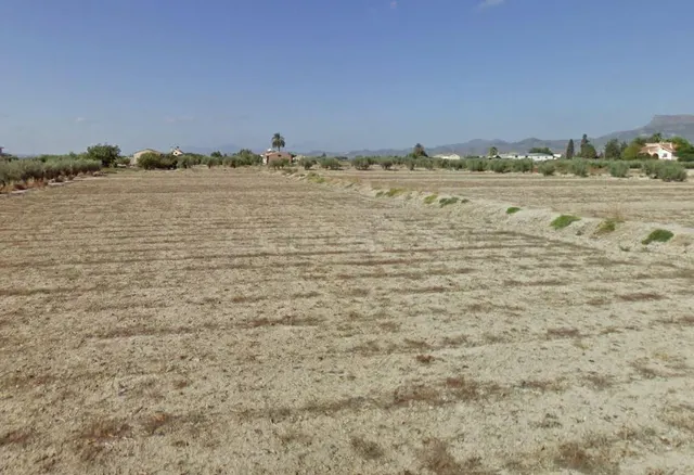 PARCELA PARA EDIFICAR O CULTIVAR EN CAZALLA.