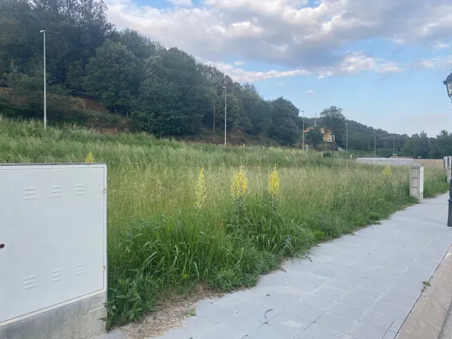 TERRENO EN VENDA - foto 2