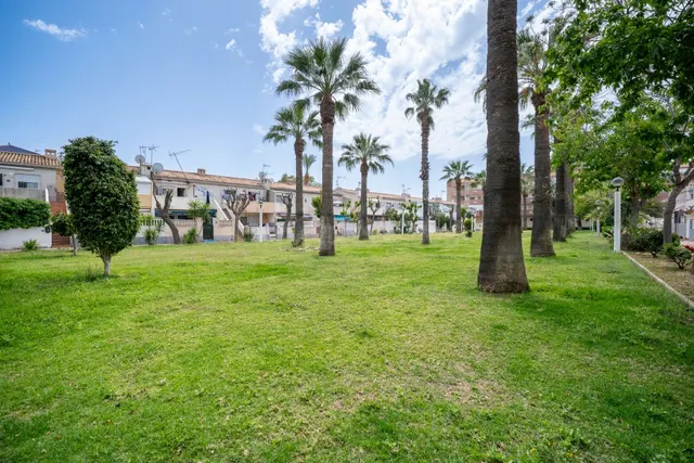 Apartamento 1 habitación 39m² en venta - Campoamor — 18
