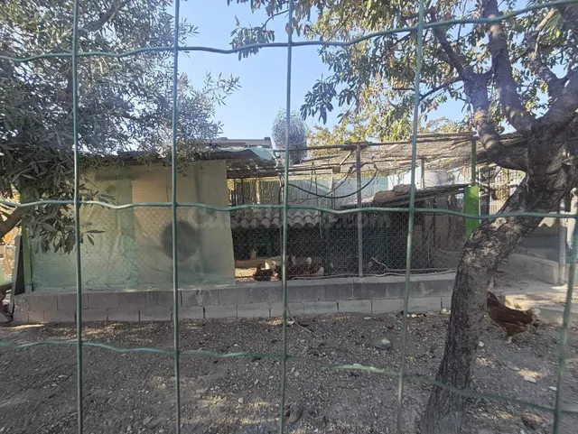 Campo en Sax 14.000 m2 parcela y casa con piscina — 34